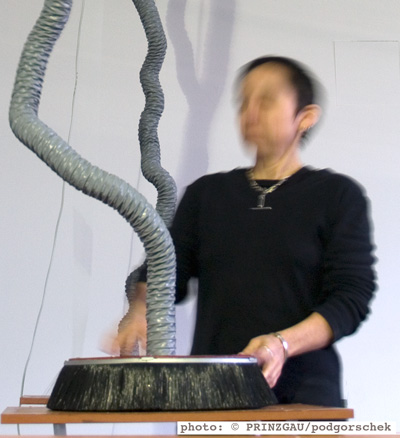 Linda Dement, Linz 2009
