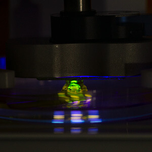 Last Breaths bioprinted sculpture