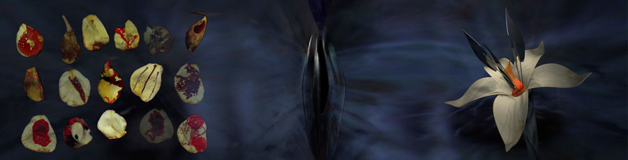 In My Gash screenshot