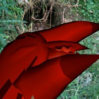 augmented reality scabies at wombat burrow