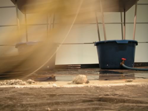 On Track mop and mess