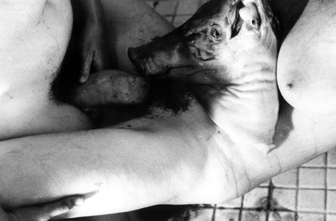 Offal