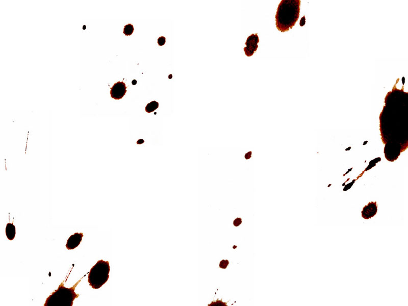 Moving Forest Natalia Pshnitsnikova