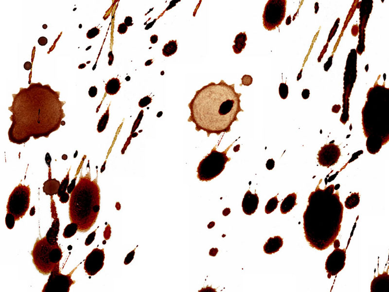 Moving Forest Natalia Pshnitsnikova